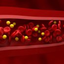 콜레스테롤은 무조건 ‘나쁜 놈’?...그렇지만 않은 이유들 이미지