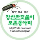 개똥벌레 희망을 달다 - 장산반딧불이 보존동아리 출범 이미지