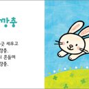 실룩실룩 - 강남구 압구정로29길 69 | 실룩실룩