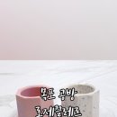 로제끌레르 이미지
