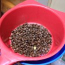 라플로레스타 이미지