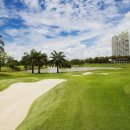 크리스탈 골프클럽 이미지