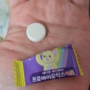 [맘스홀릭공구/테디베어에프앤비]NEW 테디베어 키즈 어린이 유산균 프로바이오틱스 츄어블 추천