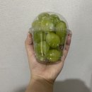 우리동네채소과일 이미지