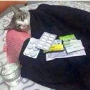 일렁일렁 이미지