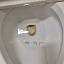 공구부동산중개 | 고객문의폭주! 울산에서 인기 많은 오피스텔 청소 서비스는?