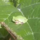 상산농장 이미지