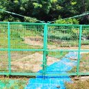 안산김씨 사재감정공파묘역 | 안산김씨 사재감정공파 묘역(김맹전 묘)