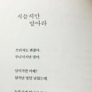 오늘의 小史 이미지