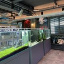 코보아쿠아 이미지