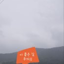 지에스25서초본마을점 | [여수여행]가을꽃을 찾아서. (묘도 칠면초, 흥국사 꽃무릇)