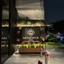 REDhill | 싱가폴국립대병원(NUH)과 IKEA 가까운 가성비 호텔 Momentus hotel Alexandra 후기와 추천 예약