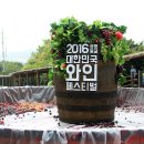 2016 광명동굴 대한민국 와인 페스티벌 이미지