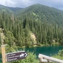 다 잡아 콜 이미지