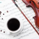 바이올린 1:1 레슨 이미지