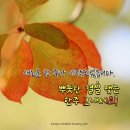 건강이야기 - 여수시 망마로 5 | 건강이야기
