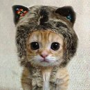 (주)제이오 이미지