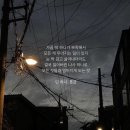 언니네옷짱