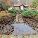 백운산 자연휴양림 야영장 | 광양 백운산 자연휴양림 광양숙소, 야영장, 치유의센터 이용안내