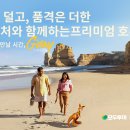 골드 마운틴77 이미지