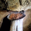 평창 백룡동굴 이미지