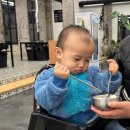 순이네 목장 이미지