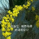 예쁜하루 이미지