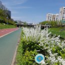 증산3교옆 이미지