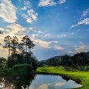 블루헤런G.C 이미지