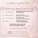 (상반기)발레핏 네이버블로그