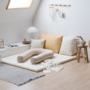 레이디폼 이미지