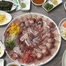 방어진어촌계슬도활어직판장 | 울산 동구 방어회맛집, 방어진슬도회센터 제주상회 후기