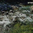 동막골캠프텔