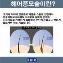 낙동대로 이미지