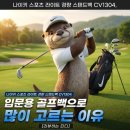1304 | 나이키 스포츠 라이트 경량 스탠드백 CV1304 솔직 후기 - 입문용 가성비 골프백으로 완벽한 이유 (스펙...