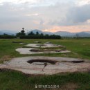 설화 - 화순군 지강로 438 | 설화