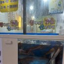 왕새우랑산오징어 중곡점