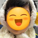 퍼피앤허니