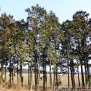 만화목장 이미지