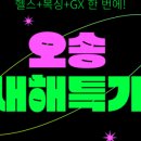 메이져복싱 오송점 이미지