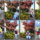 부여노인전문병원 이미지