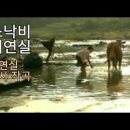 A Hard Rain's A-Gonna Fall - Bob Dylan 1963 이미지
