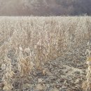 북파주농협 이미지