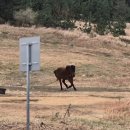 조은타이어(본점) | 행운 가득 제주여행 (2): 오설록 뮤지엄부터 서귀포 해안도로 오름 바다 포토스팟 추천!