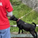 도산당 마을회관 이미지