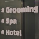 똑똑독 펫살롱 | [김포 호텔/가격/후기] 윌리독 펫 살롱 김포 호텔 윌리독, 안전한 펫호텔