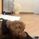퀸메리모텔 네이버블로그