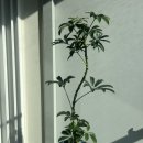 (주)그린포트 이미지