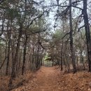 고양누리길 10코스 견달산누리길 | 고양누리길 - 240220 - 10코스 견달산 누리길