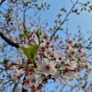 원일환경산업 | 『못 가본 길이 더 아름답다』(박완서, 2010) 독후기